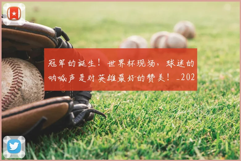 冠军的诞生！世界杯现场，球迷的呐喊声是对英雄最好的赞美！_20260703215700_20260718005607